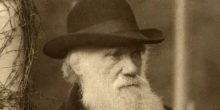 Charles Darwin picture