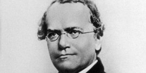 Gregor Mendel picture