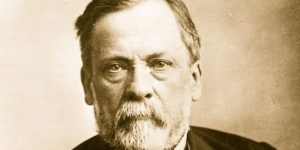 Louis Pasteur picture